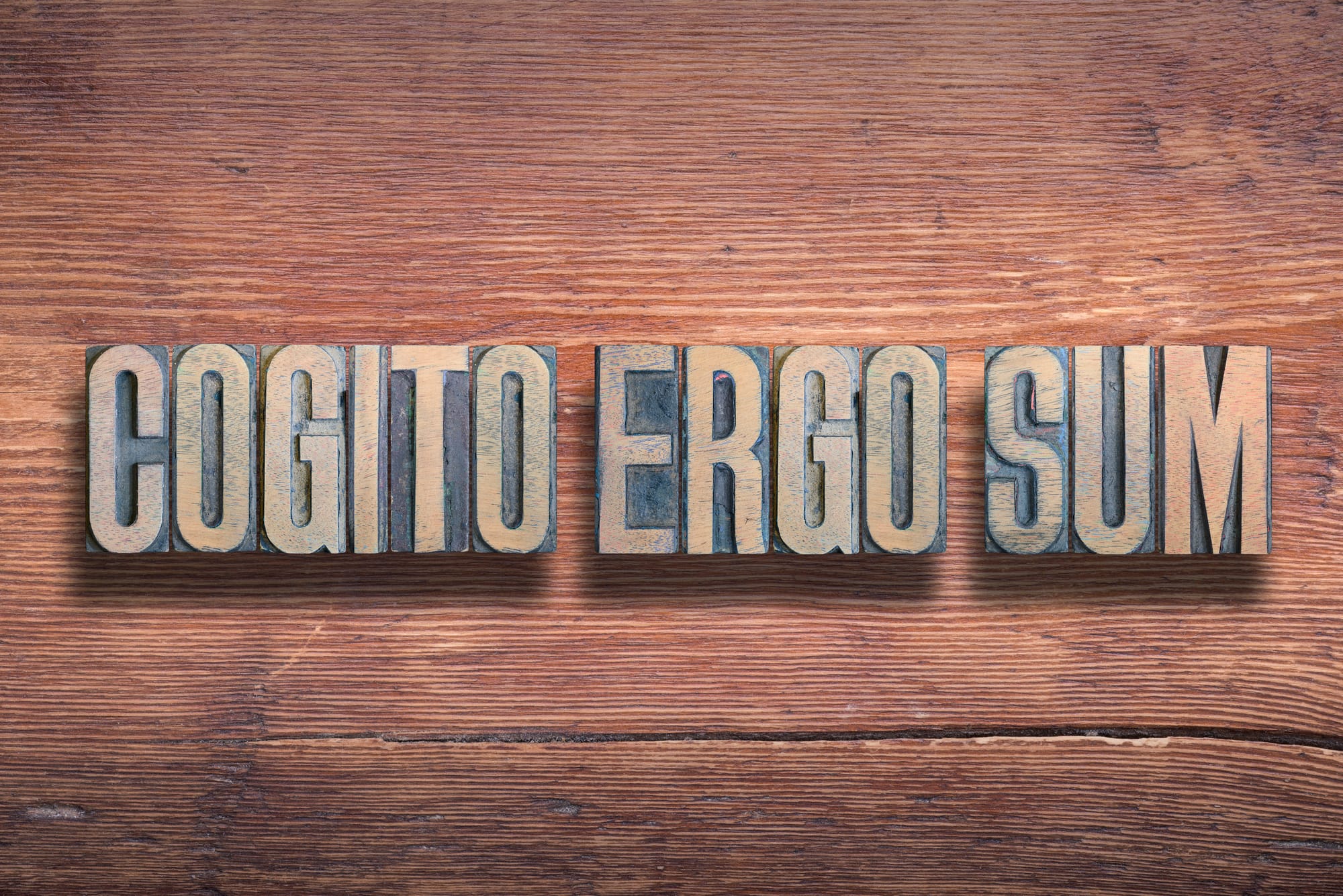 Ritratti. Cristina di Svezia