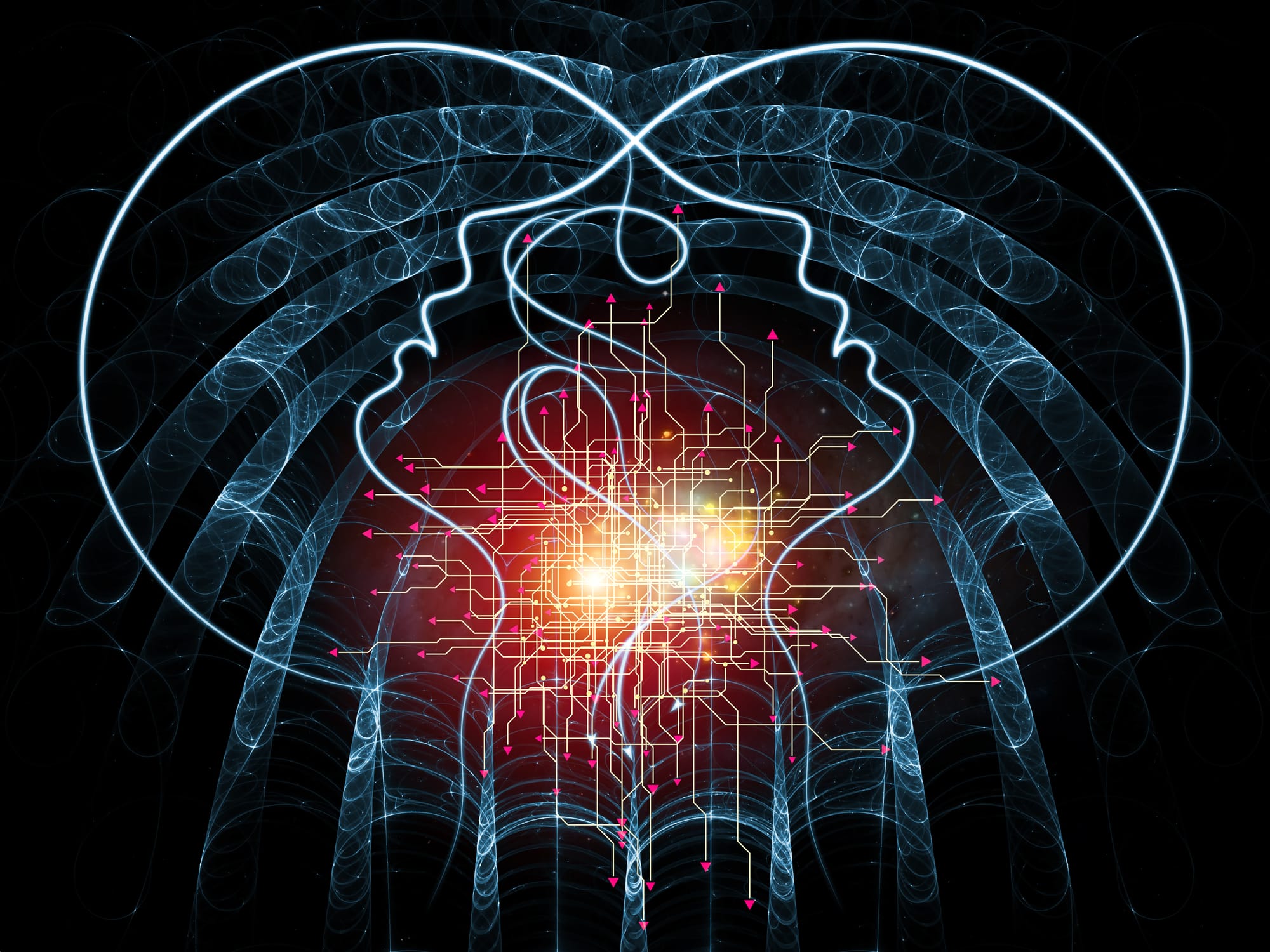 L’algoritmo dell’anima