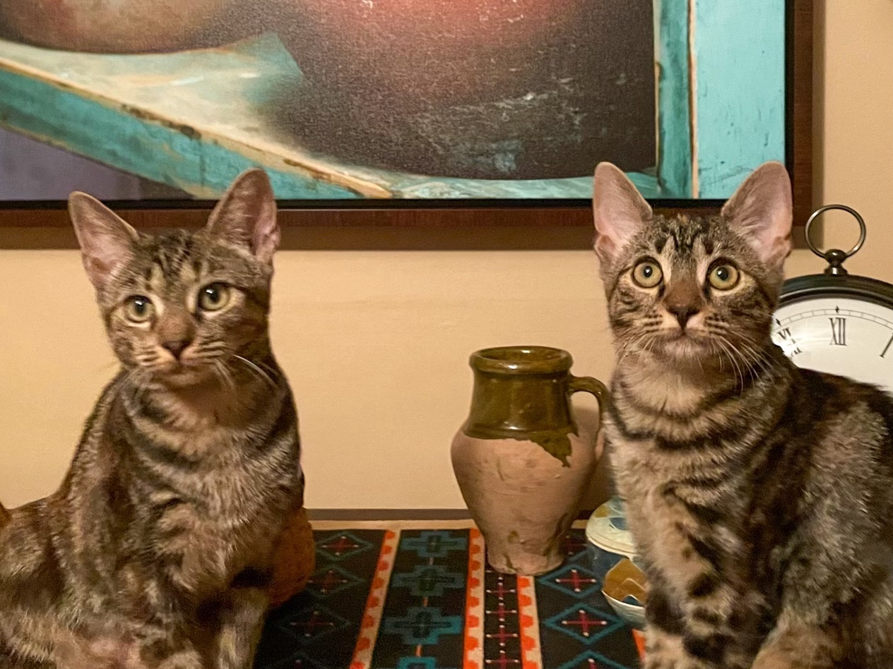 Lady D. & CORAL