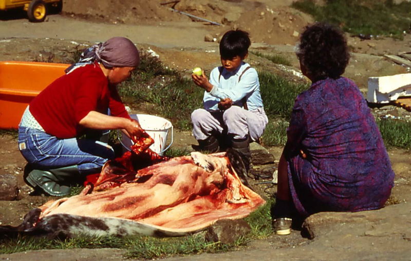 Film & Digital Reportage Images