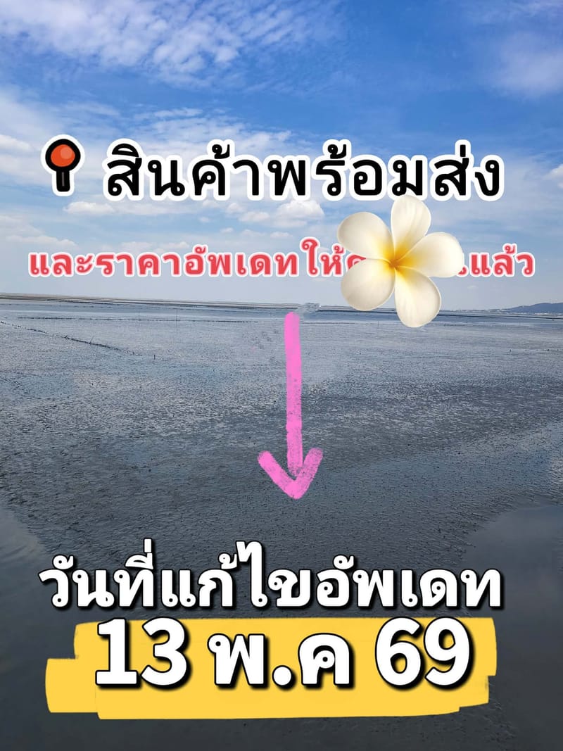 อัพเดทสินค้าพร้อมส่งและราคาปัจจุบัน