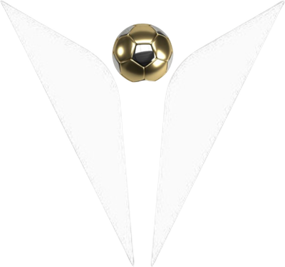VIGBA Soccer Agency