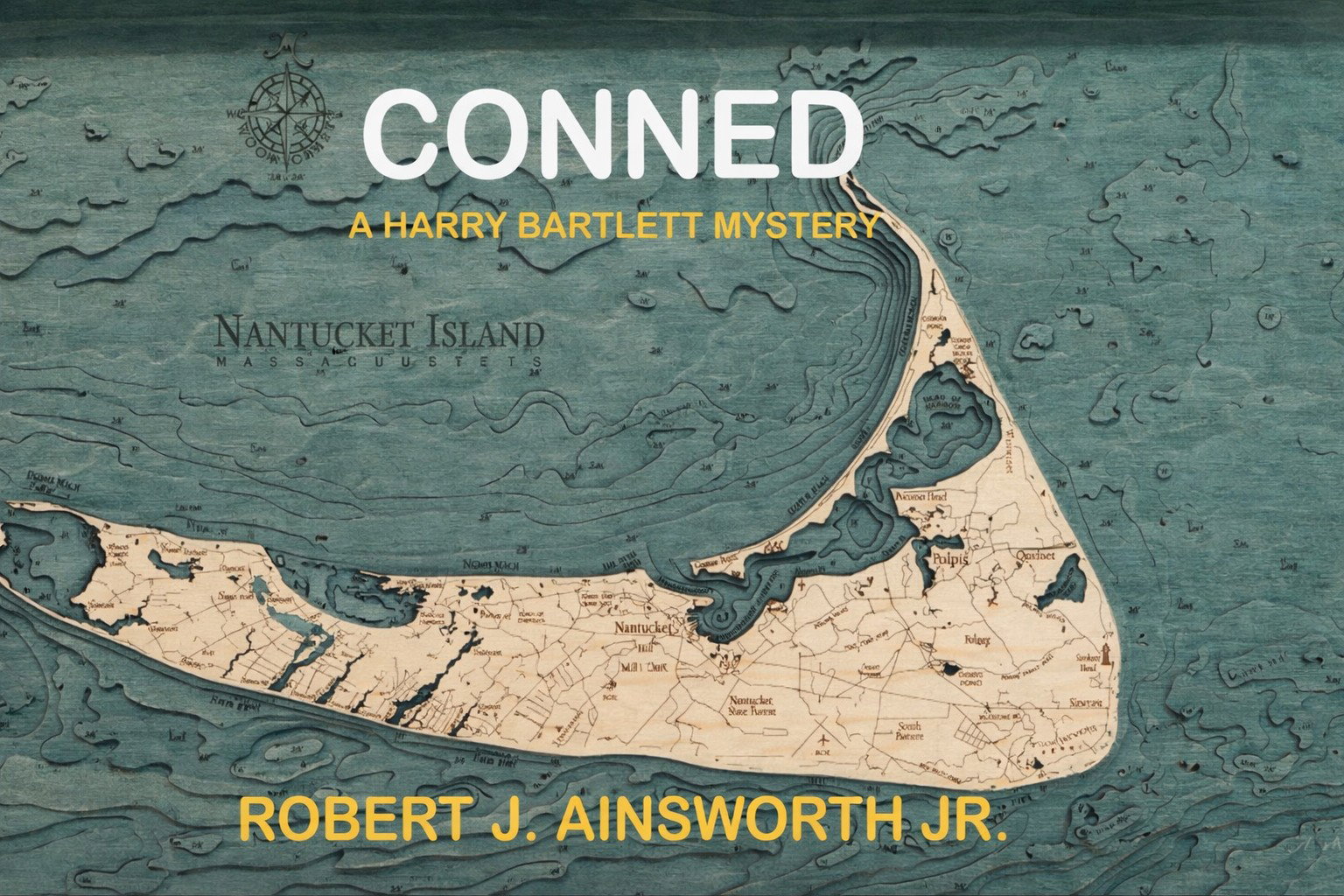 PDF OF CONNED. CHAPTER 1