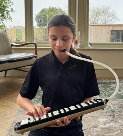 Alternative Woodwind