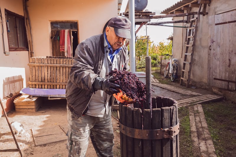 Romanian Wine: Quiet Roots, Loud Analysis