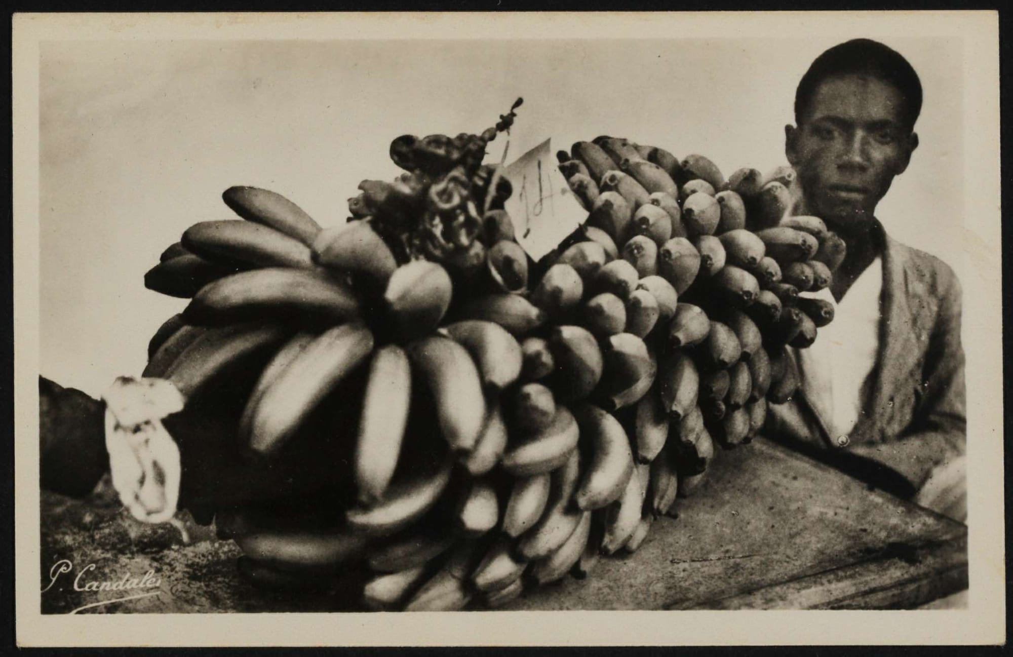 Concours agricole de banane. Archive de la Guadeloupe