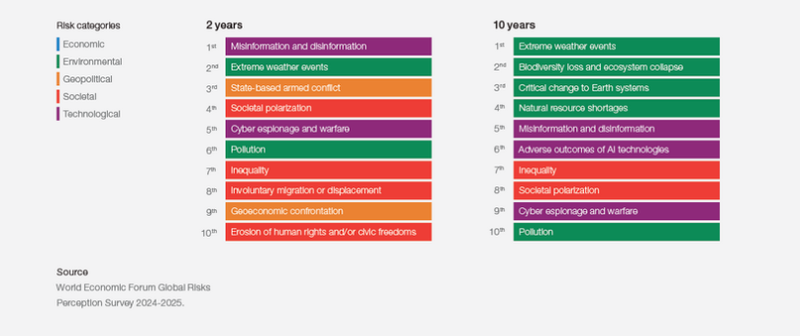 ⚡Global Risks Report 2025 - World Economic Forum 🌎