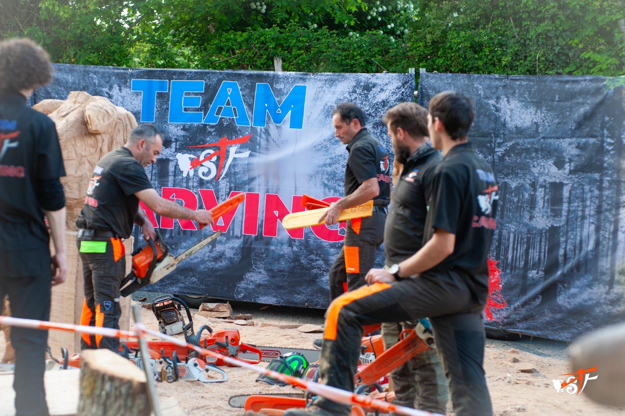 Association Team STt Carving