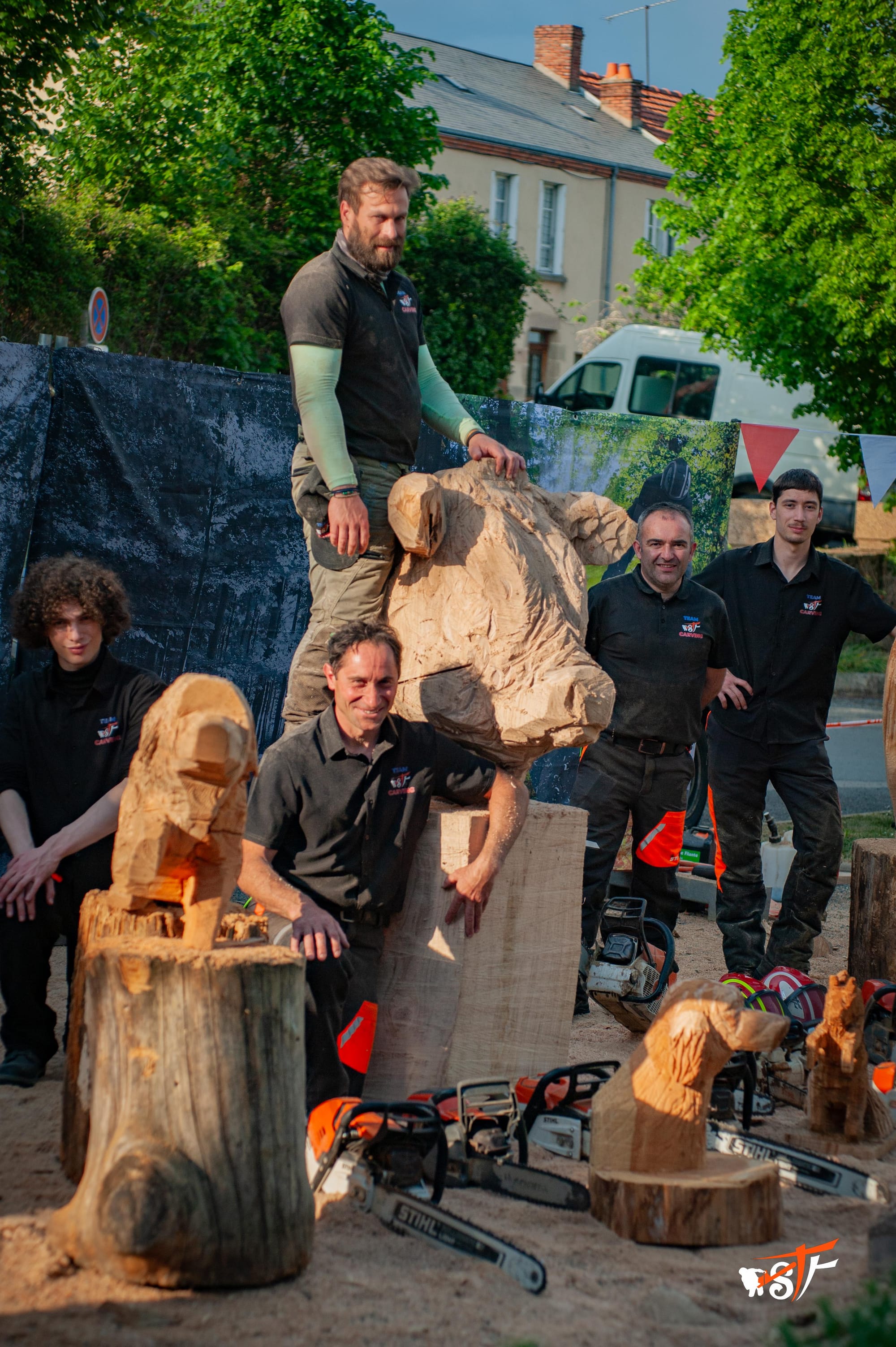 association Team STt Carving