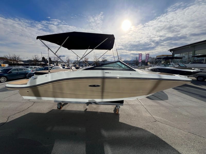 SEA RAY 190 spx Baujahr 2024