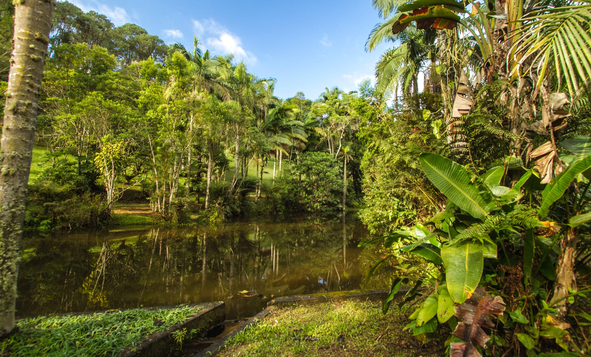 PNM Itaim, PNM Jaceguava, PNM Bororé e PNM Varginha