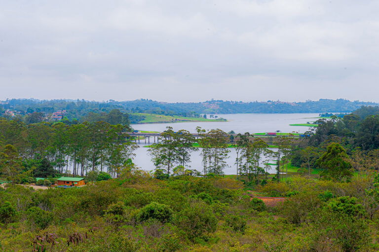 PNM Itaim, PNM Jaceguava, PNM Bororé e PNM Varginha