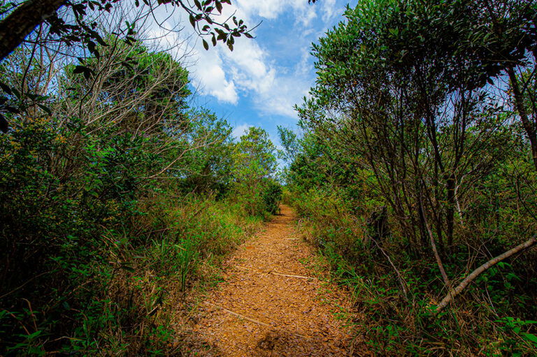 PNM Itaim, PNM Jaceguava, PNM Bororé e PNM Varginha