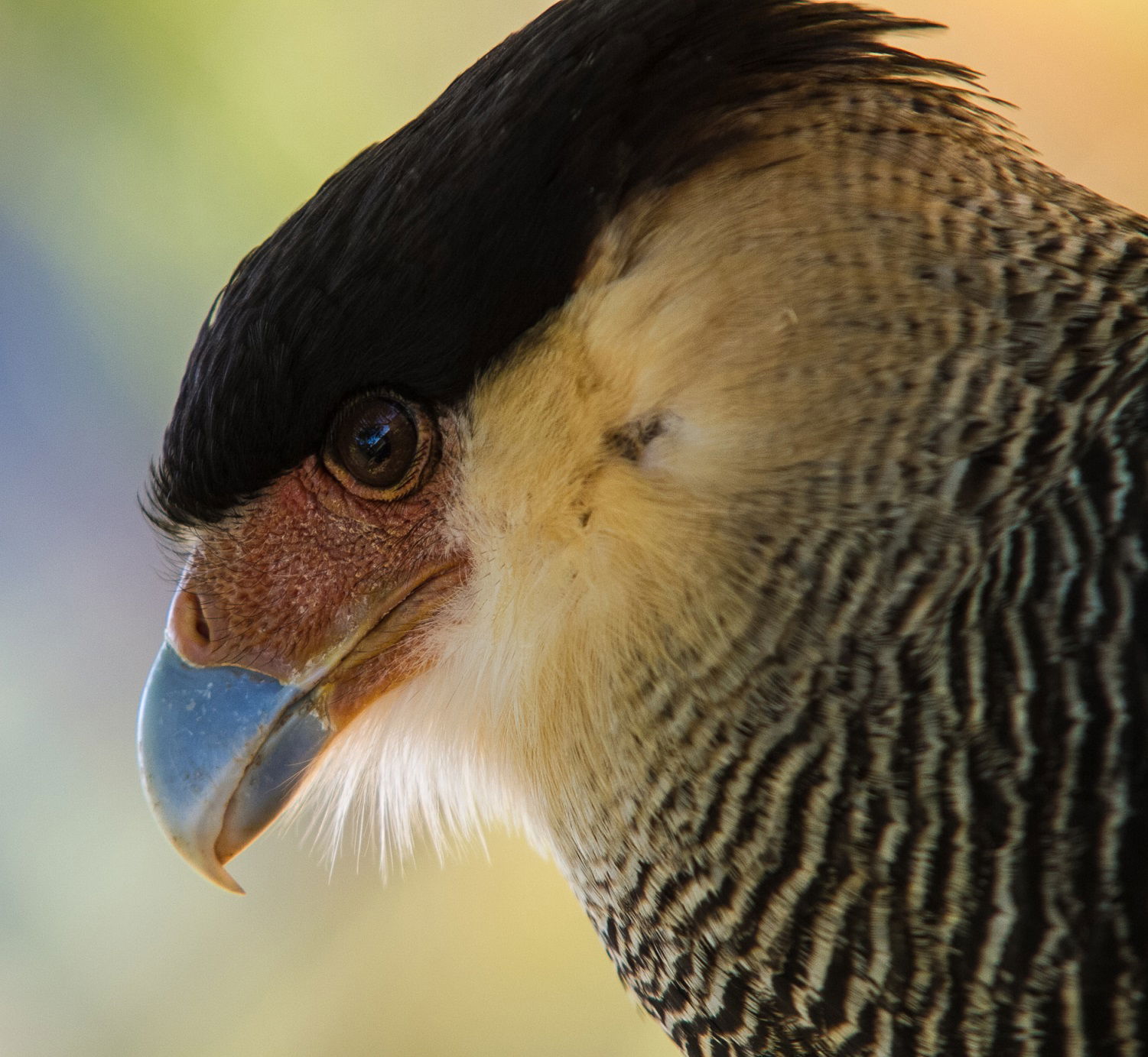 PNM Itaim, PNM Jaceguava, PNM Bororé e PNM Varginha