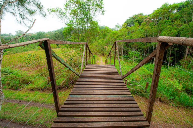 PNM Itaim, PNM Jaceguava, PNM Bororé e PNM Varginha