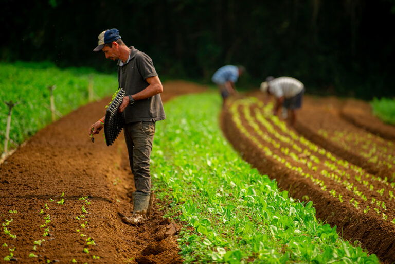 São diversos sítios que estão preparados para receber você