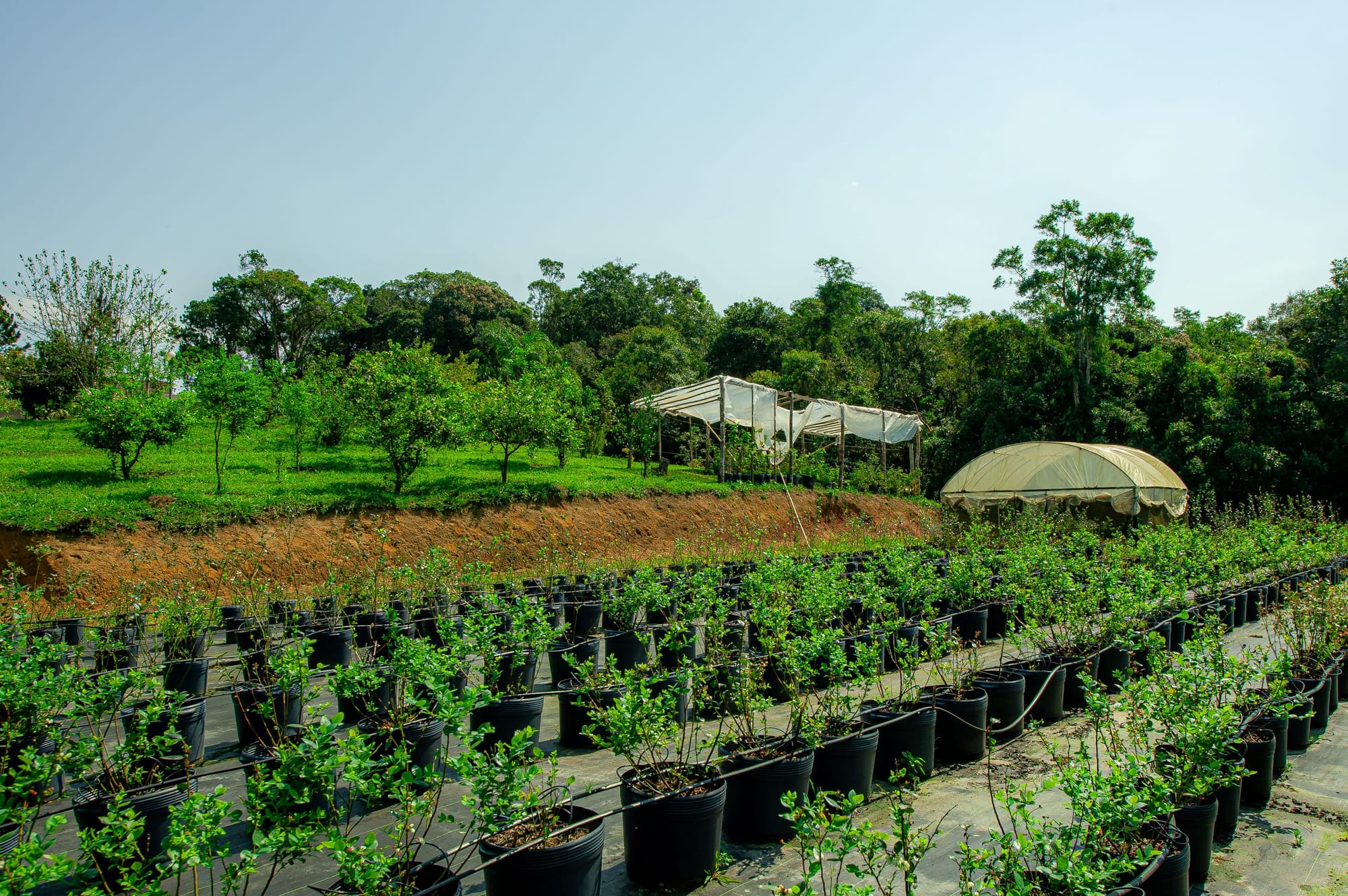 São diversos sítios que estão preparados para receber você