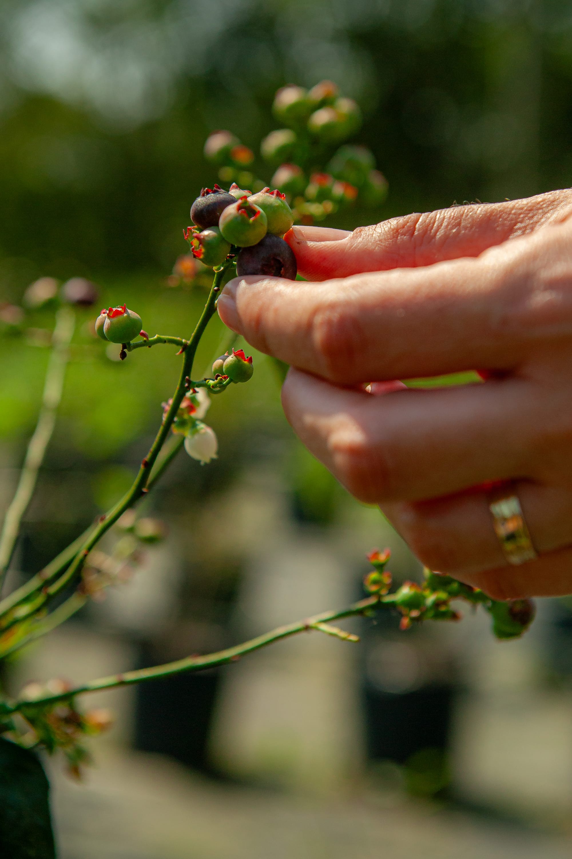 São diversos sítios que estão preparados para receber você