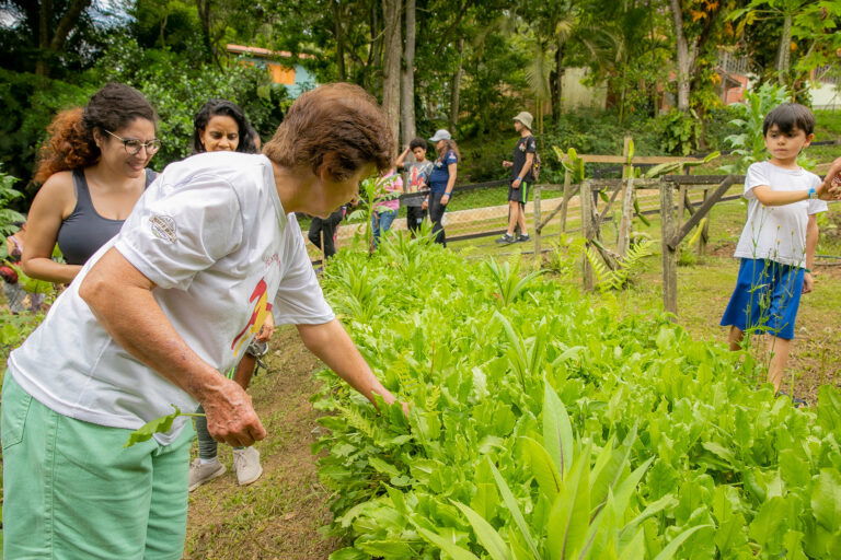 São diversos sítios que estão preparados para receber você