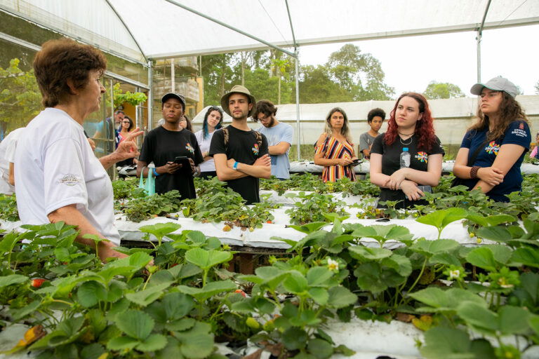 São diversos sítios que estão preparados para receber você