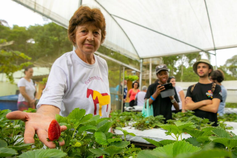 São diversos sítios que estão preparados para receber você
