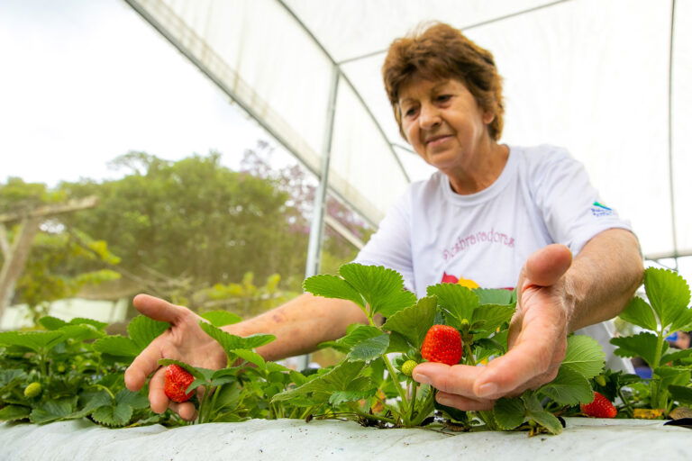 São diversos sítios que estão preparados para receber você