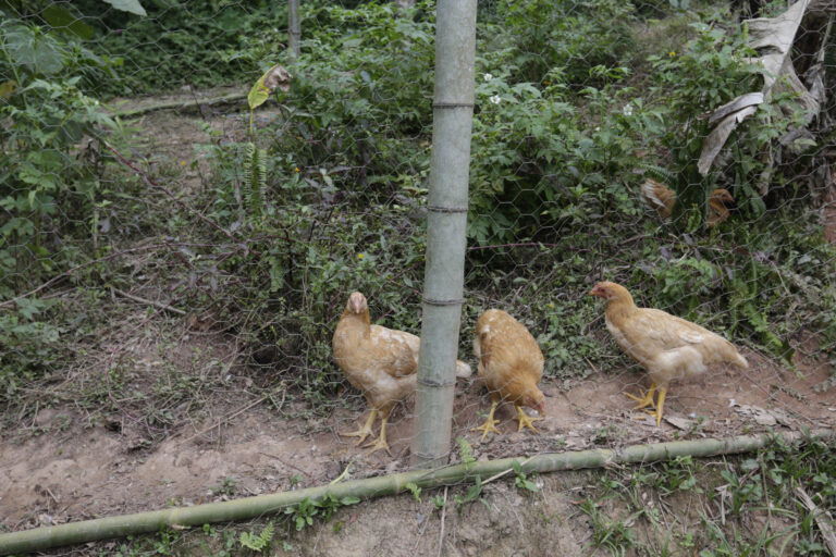 São diversos sítios que estão preparados para receber você