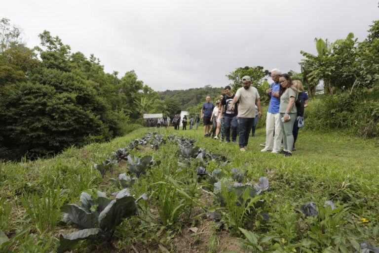 São diversos sítios que estão preparados para receber você