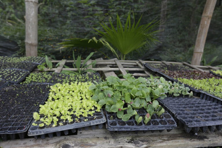 São diversos sítios que estão preparados para receber você