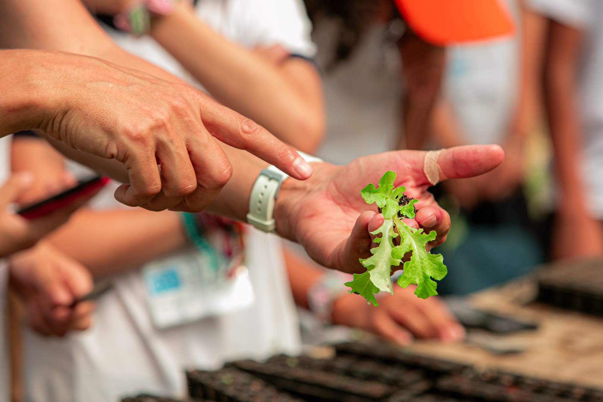 São diversos sítios que estão preparados para receber você