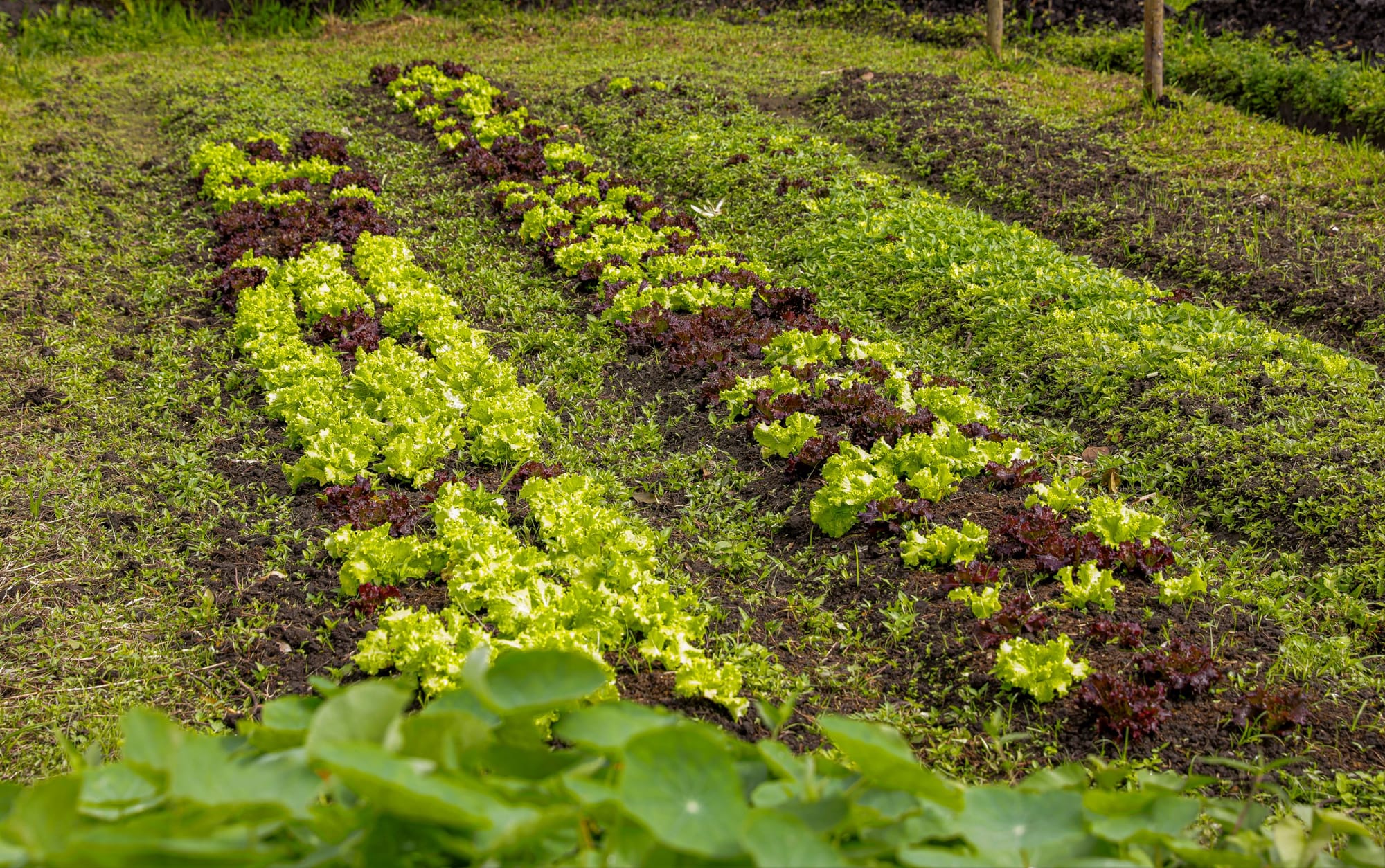 São diversos sítios que estão preparados para receber você