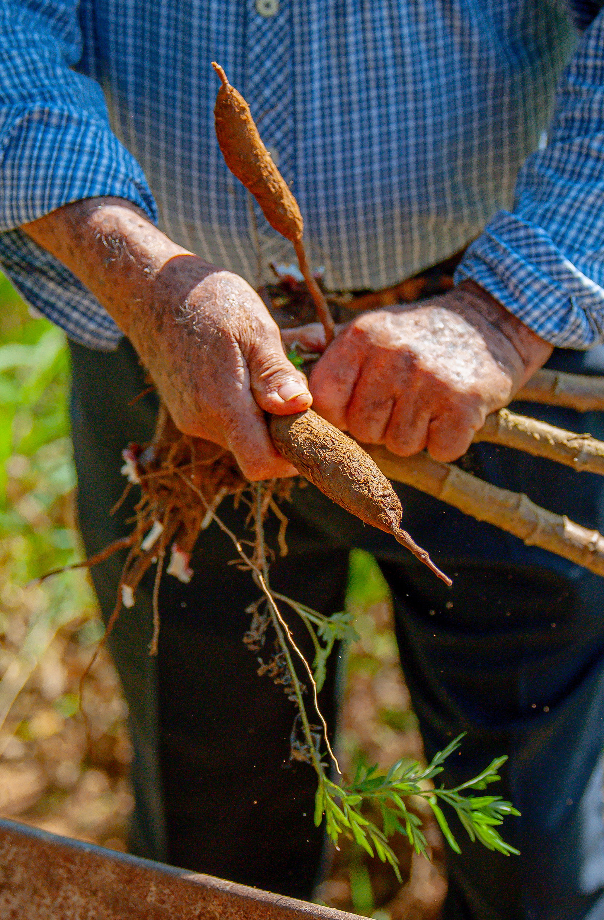 São diversos sítios que estão preparados para receber você