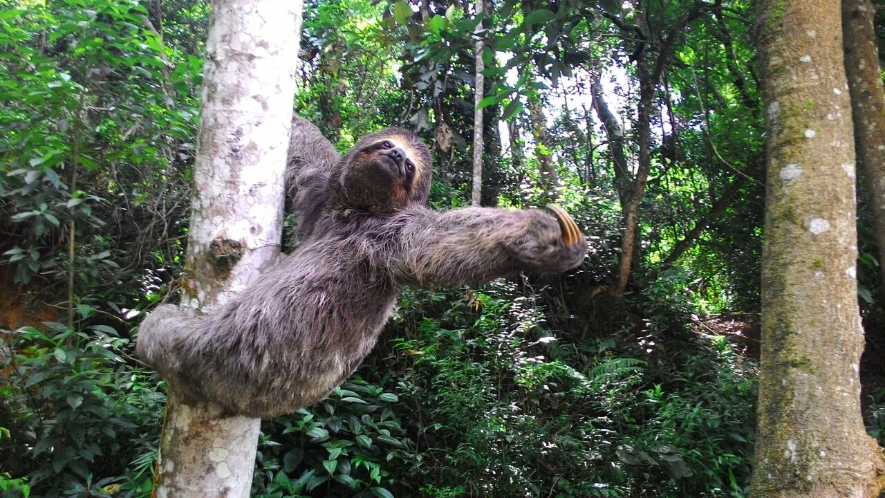 PNM Itaim, PNM Jaceguava, PNM Bororé e PNM Varginha