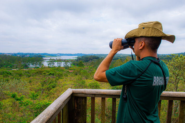 PNM Itaim, PNM Jaceguava, PNM Bororé e PNM Varginha