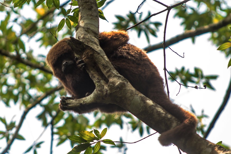 PNM Itaim, PNM Jaceguava, PNM Bororé e PNM Varginha