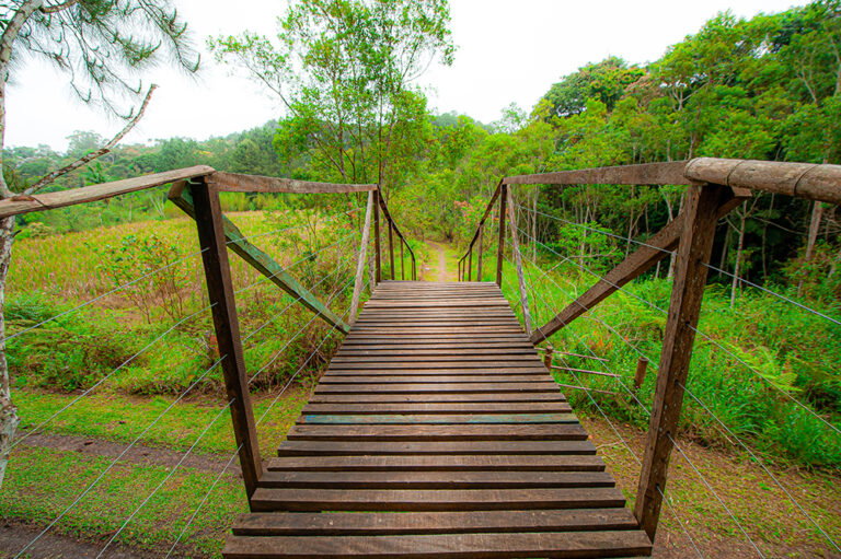 PNM Itaim, PNM Jaceguava, PNM Bororé e PNM Varginha