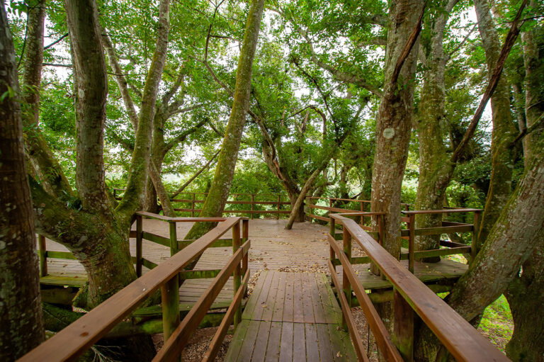 There are several sites that are prepared to welcome you