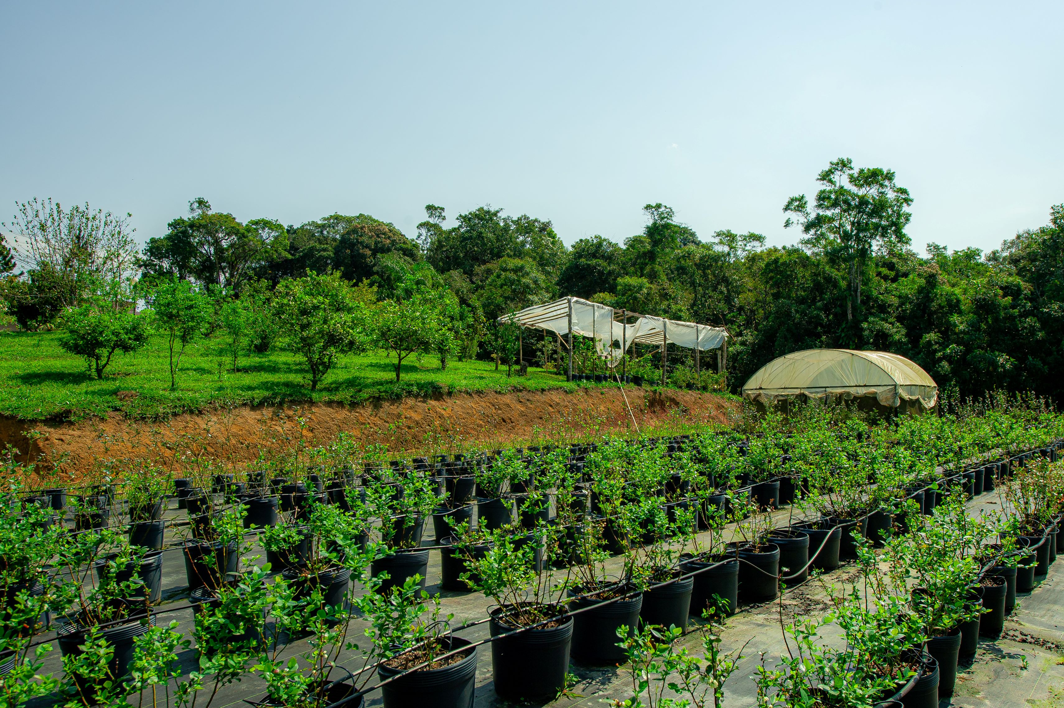 There are several sites that are prepared to welcome you