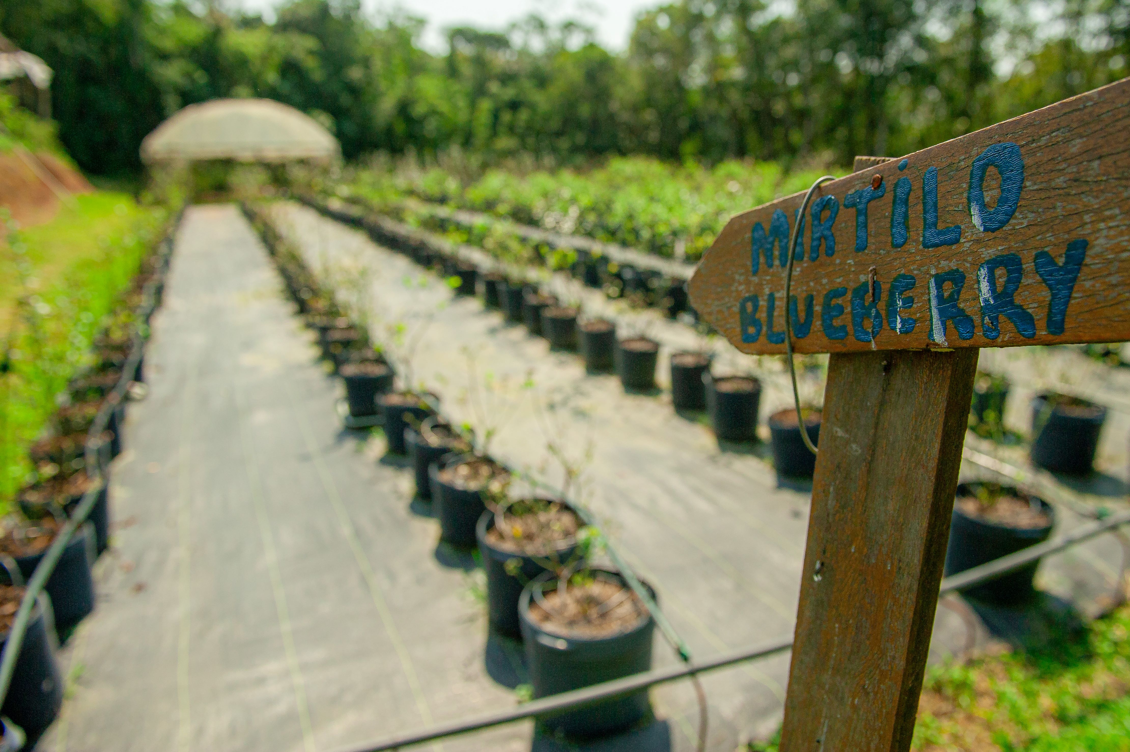 There are several sites that are prepared to welcome you