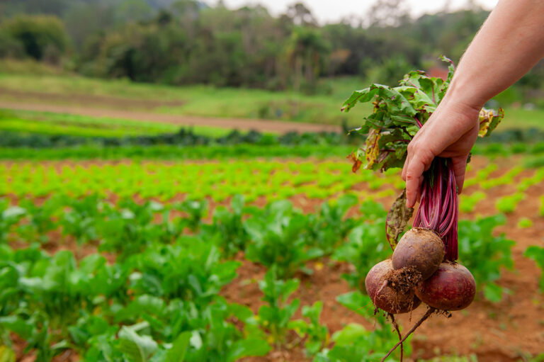 There are several sites that are prepared to welcome you