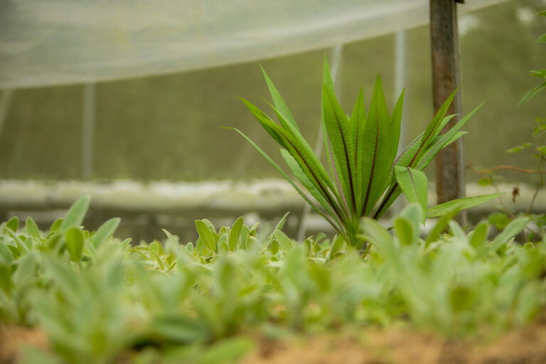 There are several sites that are prepared to welcome you