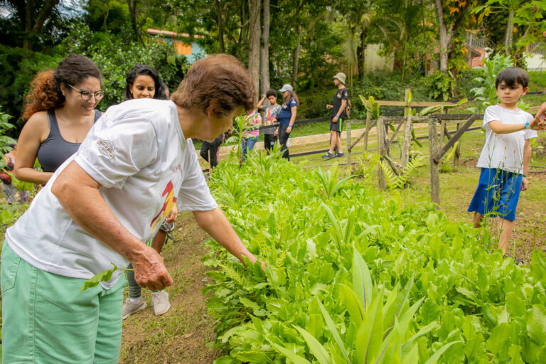 There are several sites that are prepared to welcome you