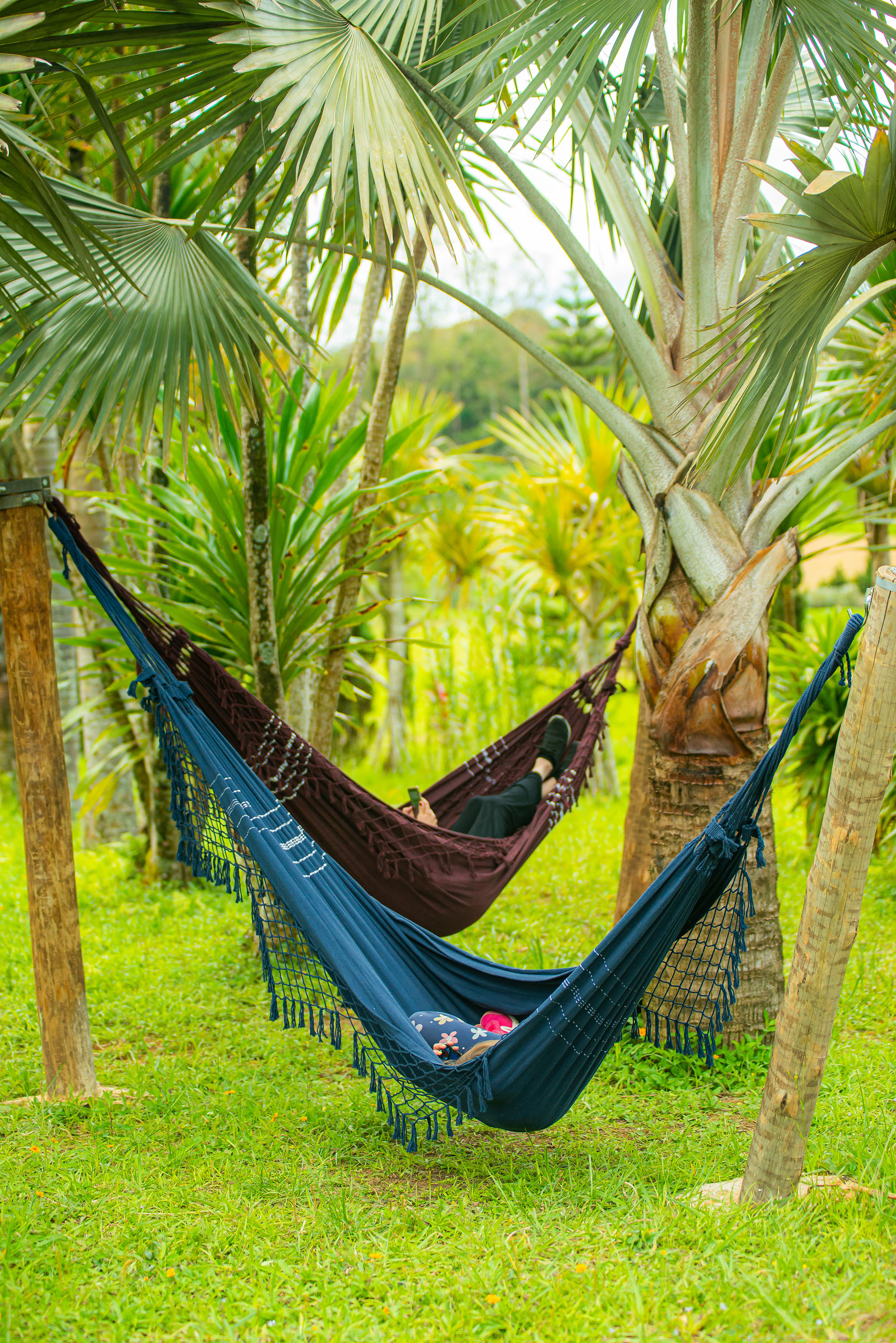 There are several sites that are prepared to welcome you