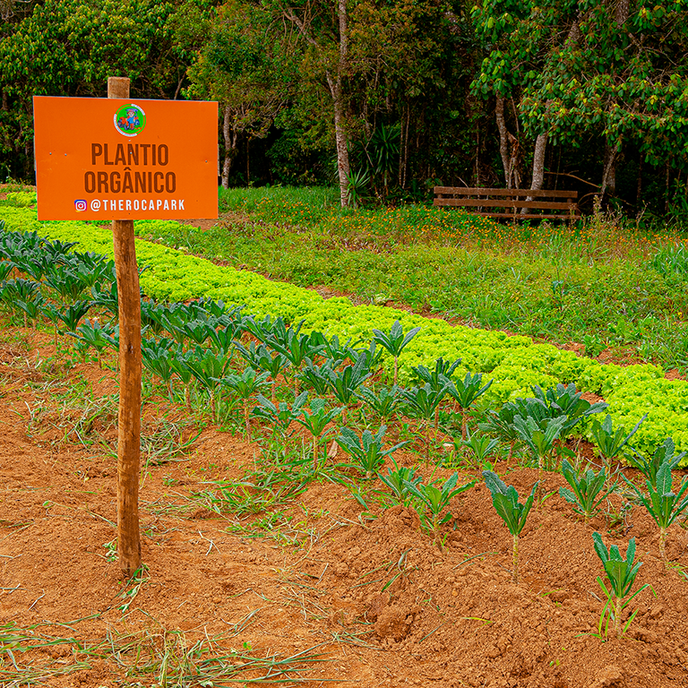 There are several sites that are prepared to welcome you