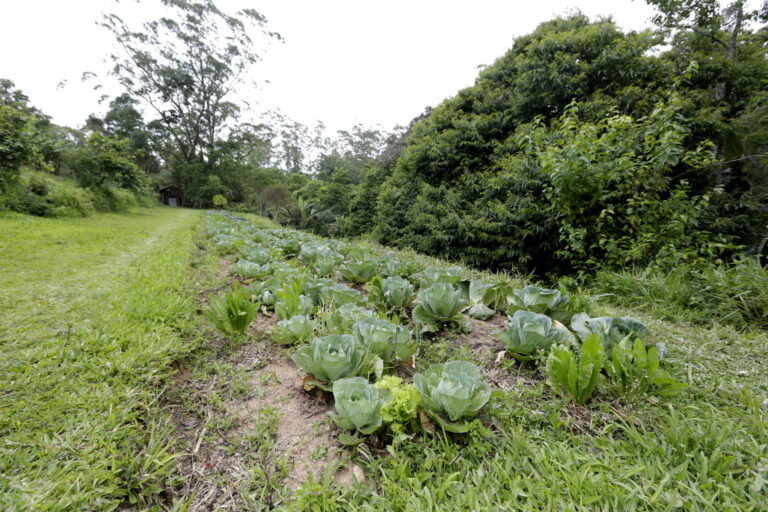 There are several sites that are prepared to welcome you