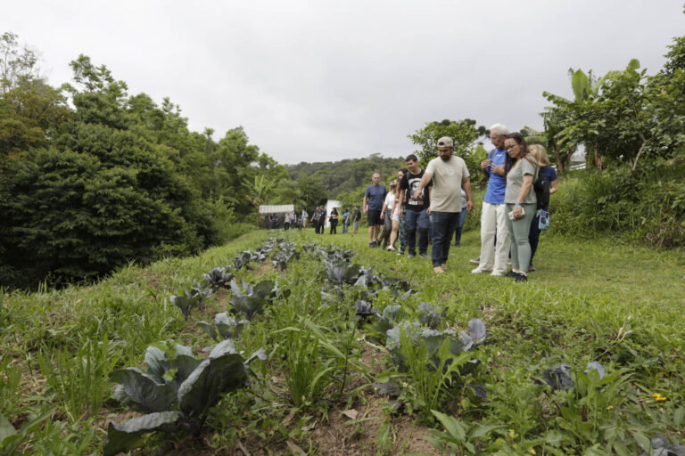 There are several sites that are prepared to welcome you