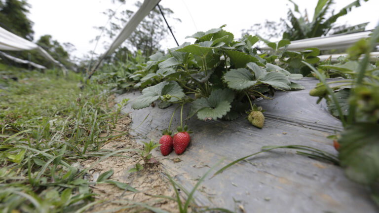 There are several sites that are prepared to welcome you