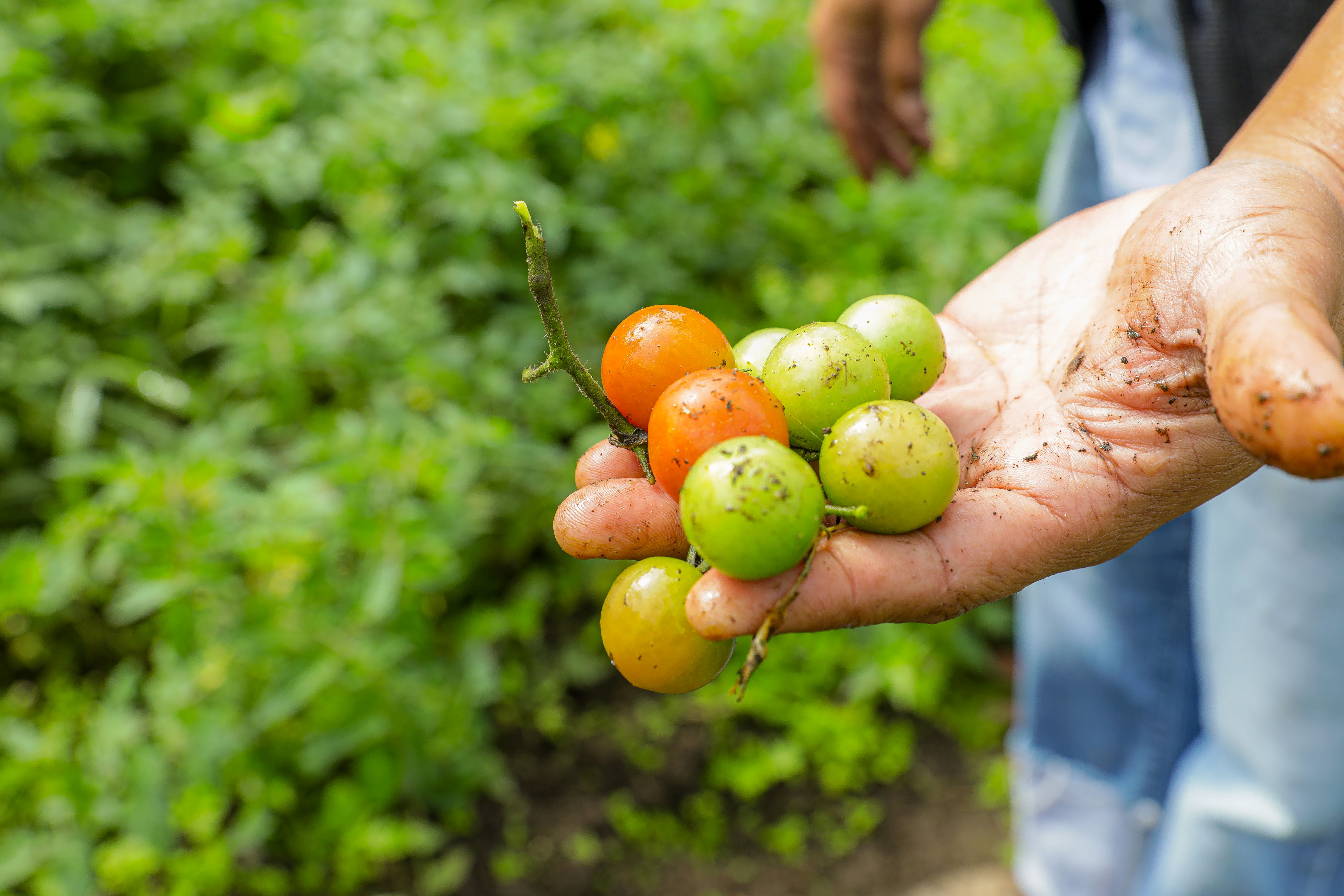 There are several sites that are prepared to welcome you