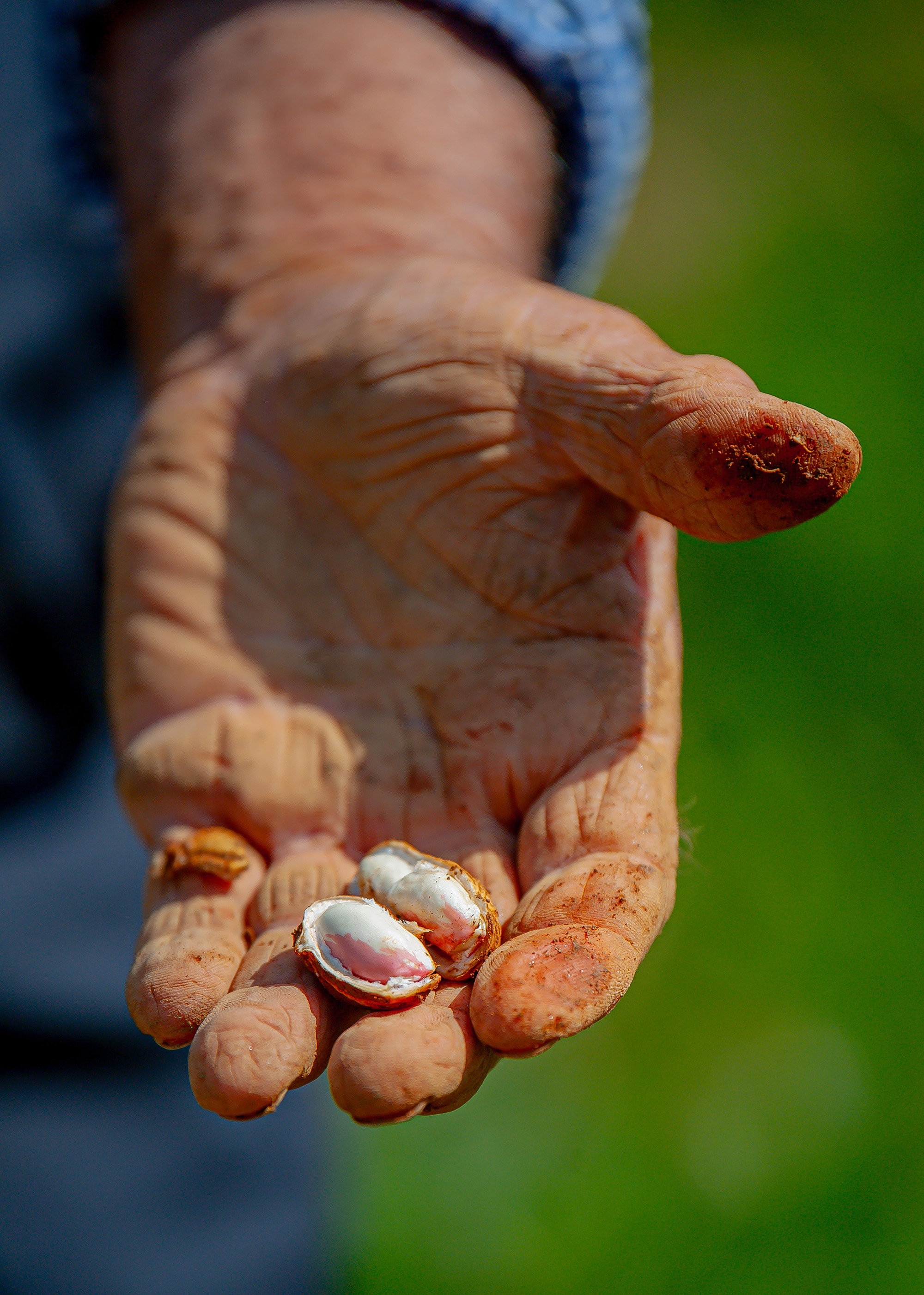 There are several sites that are prepared to welcome you