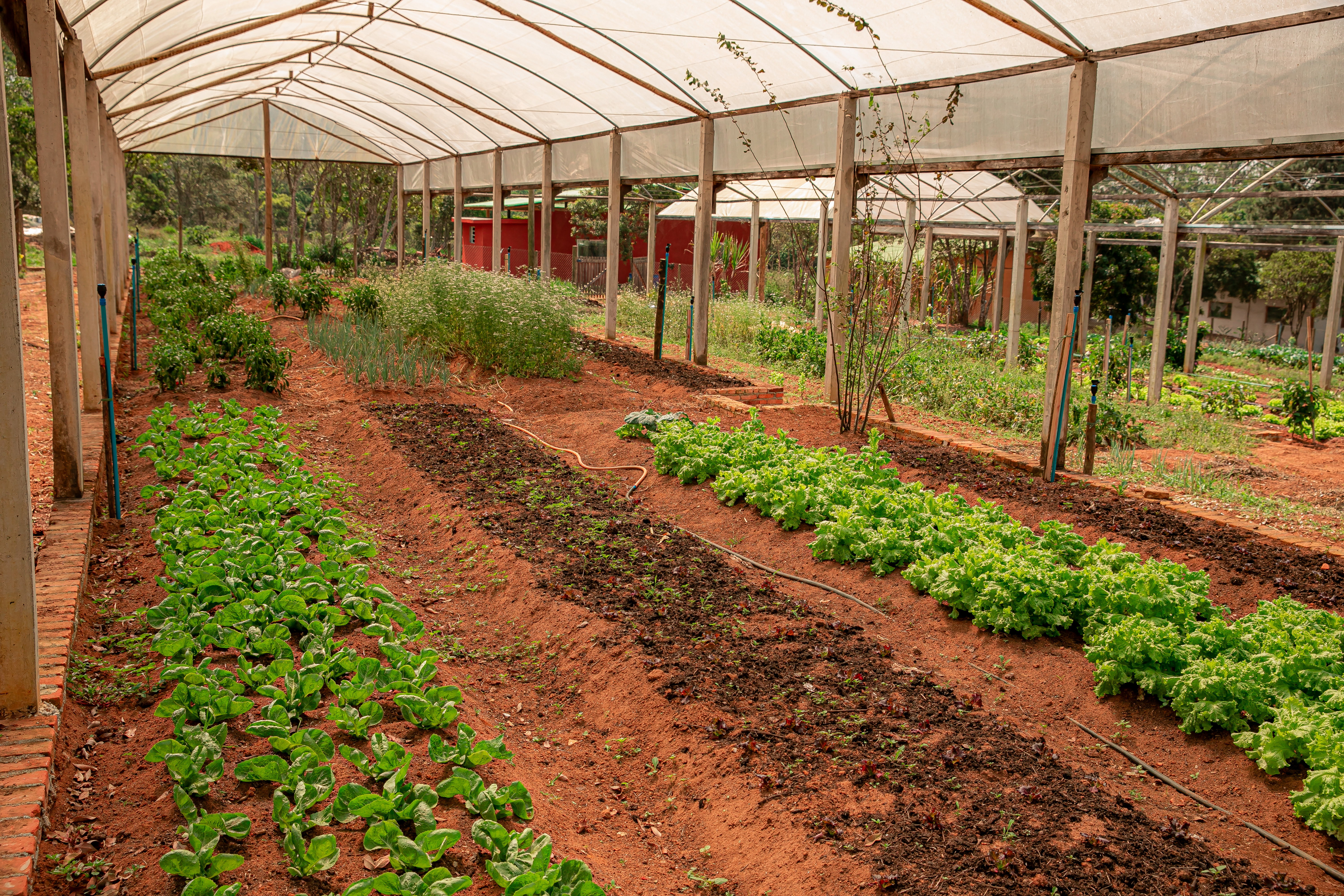 There are several sites that are prepared to welcome you